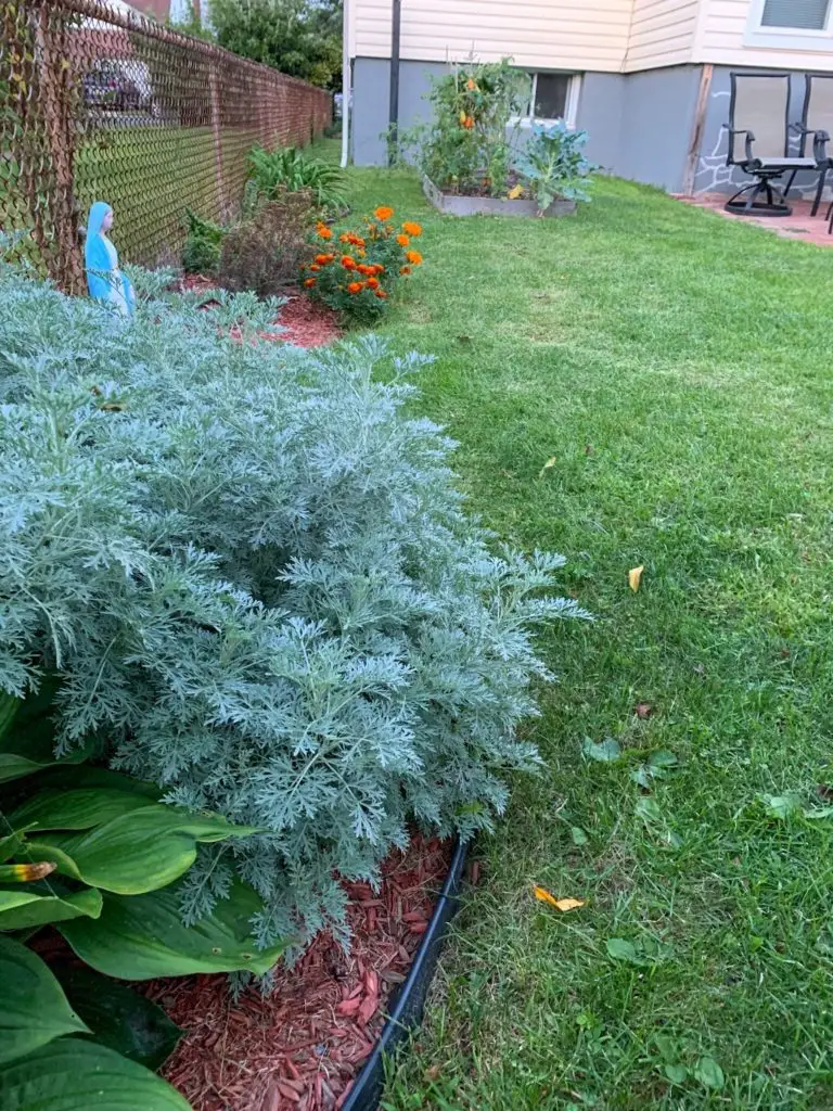 side fence garden