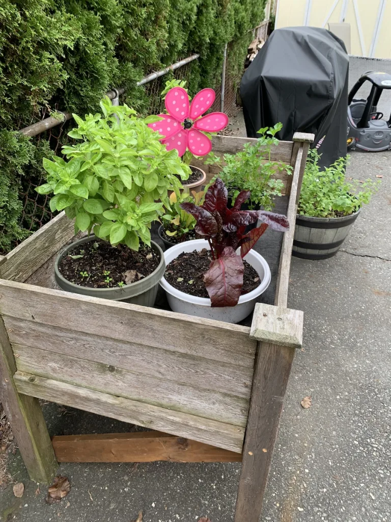 garden table