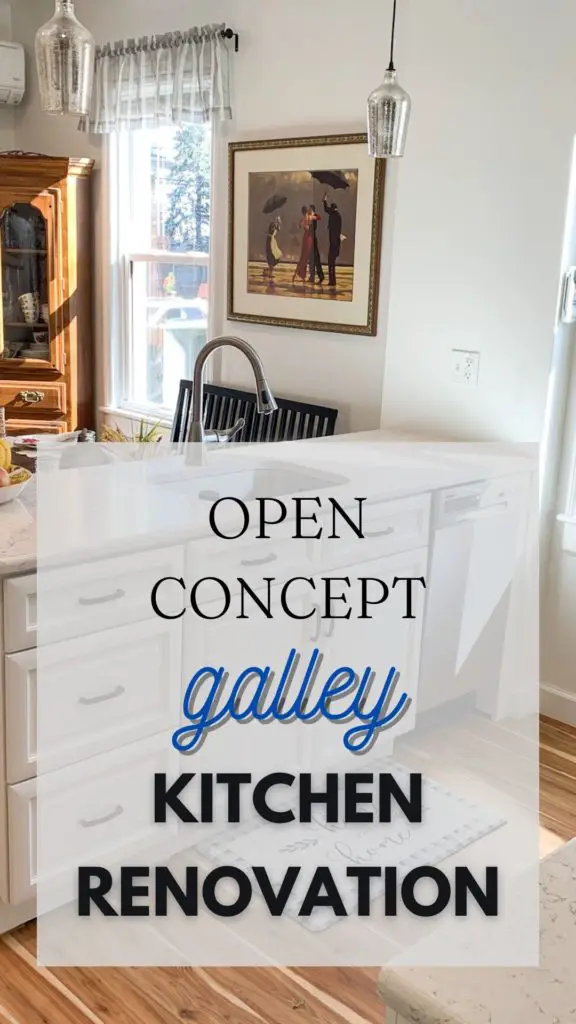 open concept galley kitchen renovation